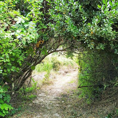 Villa Opali Kassandra Dış mekan fotoğraf
